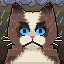 Grumpy, a one-of-one Hashcat